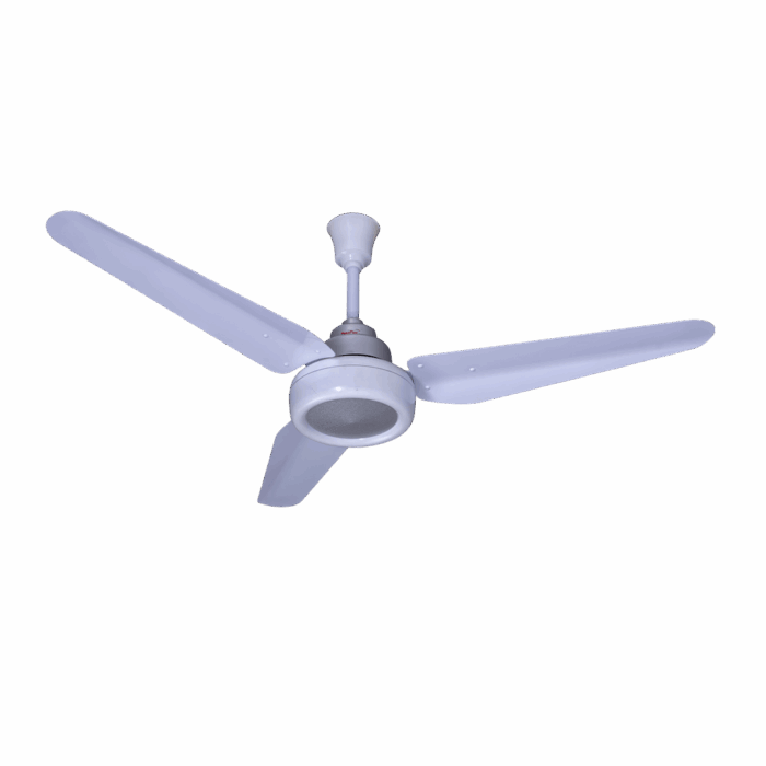 Panaflex-Classic-White-Silver